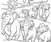 Coloriage Les &eacute;l&eacute;phants dans la foret tropicale