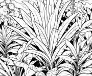 Coloriage Les plantes de la foret tropicale