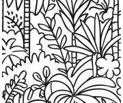 Coloriage Les plantes tropicaux