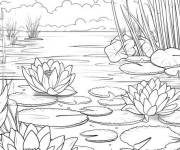 Coloriage N&eacute;nuphars g&eacute;ants de la foret tropicale