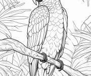 Coloriage oiseau tropicale