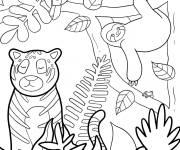 Coloriage Paresseux, tigre et toucan