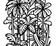 Coloriage Paysage en miniature de la foret tropicale