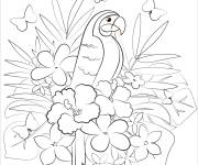Coloriage Perroquet dans la for&ecirc;t tropicale