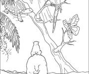 Coloriage Perroquet, tortue et ours polaire dans la foret tropicale