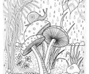 Coloriage Pluie dans la foret tropicale