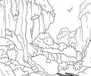 Coloriage Rivi&egrave;re et terrain rocheux de la for&ecirc;t