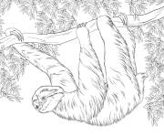 Coloriage Sc&egrave;ne de A&iuml;s dans l'arbre torpicale