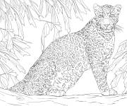 Coloriage Sc&egrave;ne de L&eacute;opard dans la for&ecirc;t tropicale