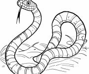 Coloriage Serpent corail reptile tropicale