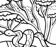 Coloriage Serpent dans la jungle