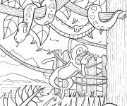 Coloriage Singe et serpent dans la For&ecirc;t tropicale