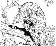 Coloriage Tigre de la for&ecirc;t tropicale r&eacute;aliste