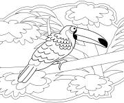Coloriage Toucan dans la for&ecirc;t tropicale