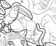 Coloriage Toucan, tigre, serpent, gorille, &eacute;l&eacute;phant et singe