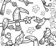 Coloriage Toucans et colibris dans la for&ecirc;t tropicale