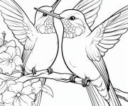 Coloriage Un couple Colibris maternelle