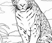 Coloriage Un jaguar te regardant