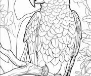 Coloriage Un perroquet ara sur les branches