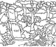 Coloriage Vue de la for&ecirc;t tropicale