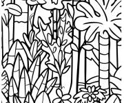 Coloriage Vue des arbres tropicaux