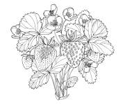 Coloriage Belle fraisier