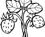 Coloriage et dessins gratuit Branche de fraise sur ordinateur à imprimer