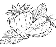 Coloriage et dessins gratuit Des fraises à télécharger à imprimer