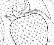 Coloriage Des fraises aux graines