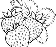 Coloriage et dessins gratuit Des fraises r&eacute;alistes à imprimer