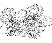 Coloriage Des fruits de fraises magnifique