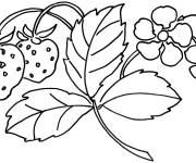 Coloriage Fleurs des fraisier