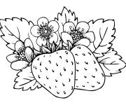 Coloriage Fraise &agrave; colorier gratuitement