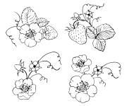 Coloriage Fraises avec leurs fruits