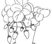 Coloriage Fraisier arbousier