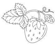 Coloriage Fruit fraise fraisier