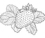 Coloriage Grosse fraise dans la plante