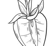 Coloriage Plante de fraise