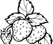Coloriage Trois fraises dans leur plante