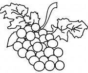 Coloriage Fruit Grappes de  Raisin