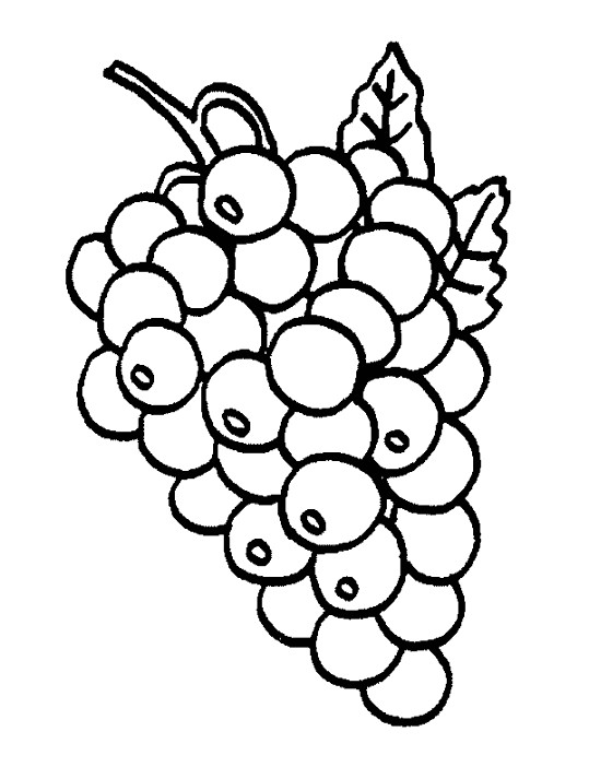 Coloriage Fruit Raisin maternelle dessin gratuit à imprimer