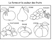 Coloriage Fruits &agrave; compl&eacute;ter