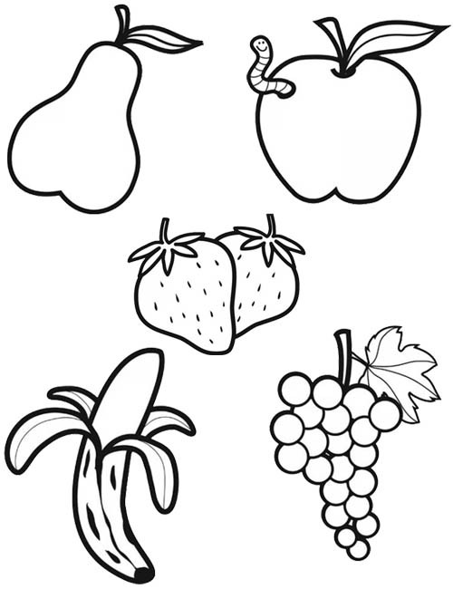 Coloriage Fruits vecteur dessin gratuit à imprimer