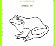 Coloriage Animal Grenouille