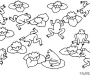 Coloriage Des Grenouilles Adultes