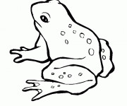 Coloriage Grenouille à découper