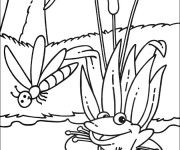 Coloriage Grenouille dans la nature