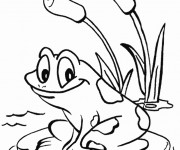 Coloriage Grenouille en plein forme