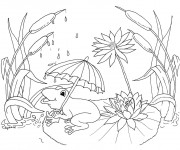 Coloriage Grenouille et sa parapluie