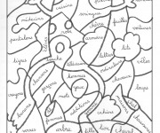 Coloriage Grenouille et Vocabulaire